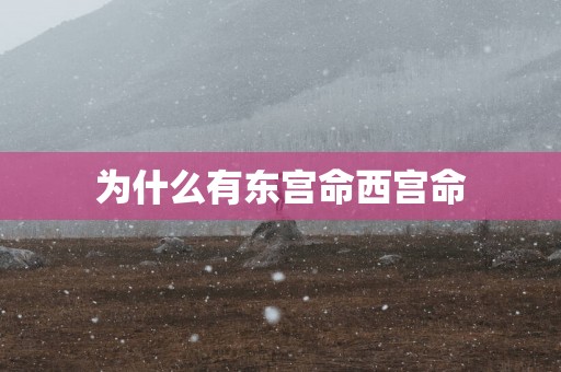 为什么有东宫命西宫命
