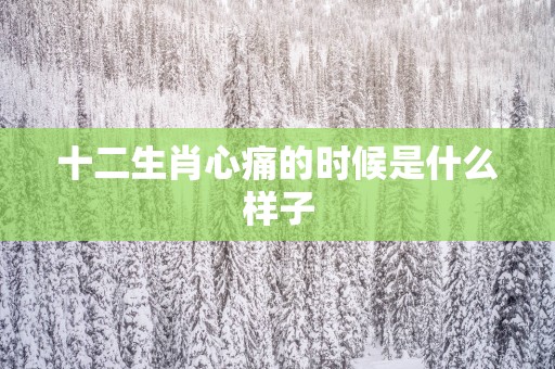 十二生肖心痛的时候是什么样子
