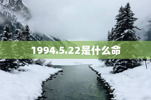 1994.5.22是什么命