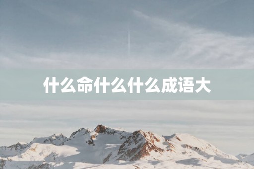 什么命什么什么成语大