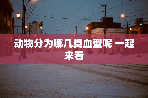动物分为哪几类血型呢 一起来看