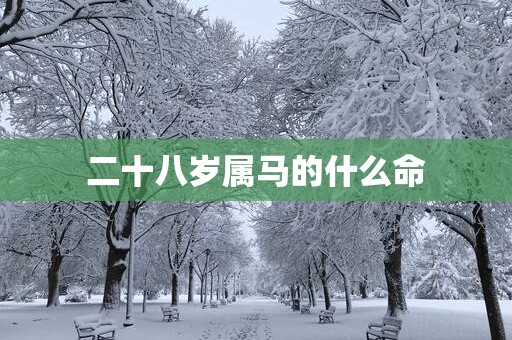 二十八岁属马的什么命