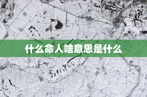 什么命人啥意思是什么