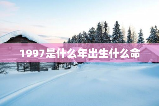 1997是什么年出生什么命