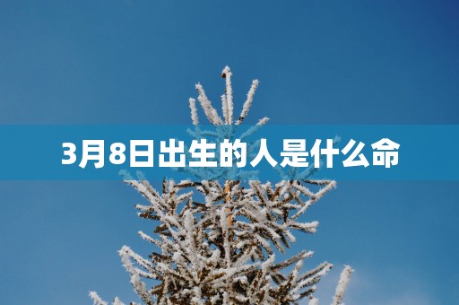 3月8日出生的人是什么命
