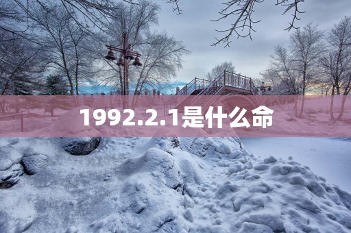 1992.2.1是什么命