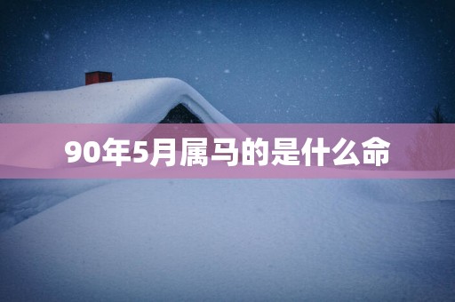 90年5月属马的是什么命