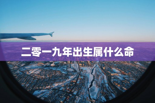二零一九年出生属什么命