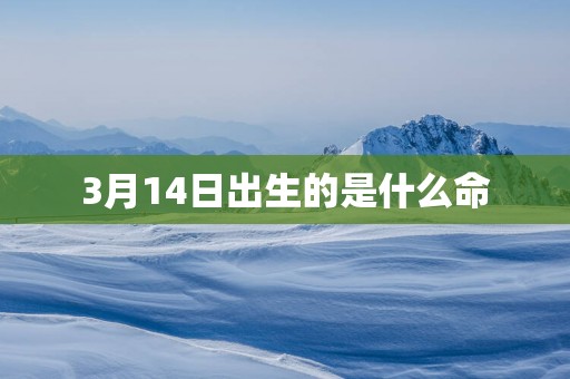 3月14日出生的是什么命