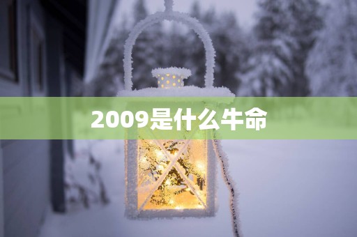 2009是什么牛命