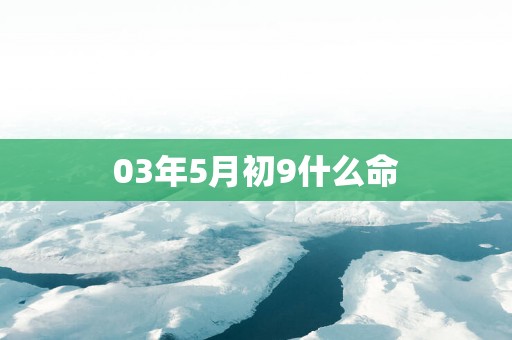 03年5月初9什么命