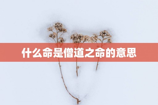 什么命是僧道之命的意思