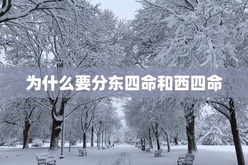 为什么要分东四命和西四命
