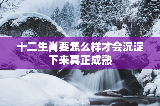 十二生肖要怎么样才会沉淀下来真正成熟