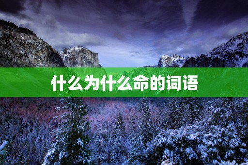 什么为什么命的词语