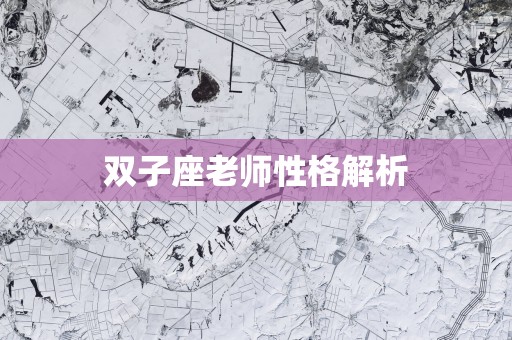 双子座老师性格解析