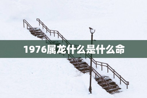 1976属龙什么是什么命