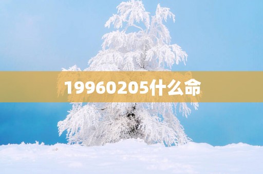 19960205什么命