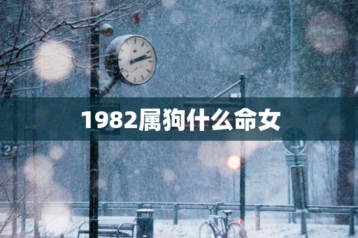 1982属狗什么命女