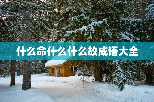 什么命什么什么故成语大全