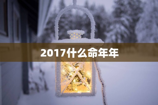 2017什么命年年