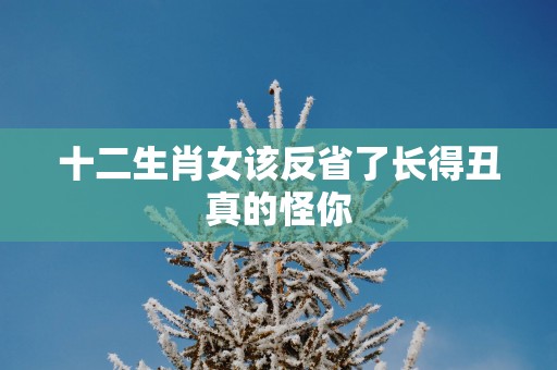 十二生肖女该反省了长得丑真的怪你