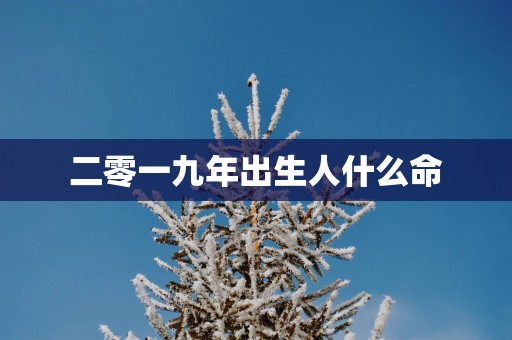 二零一九年出生人什么命
