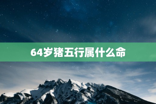 64岁猪五行属什么命