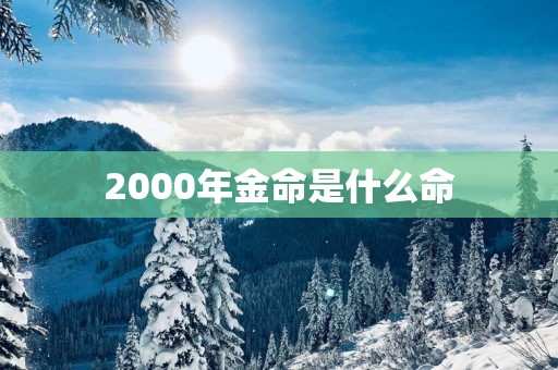 2000年金命是什么命
