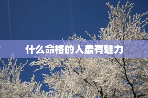 什么命格的人最有魅力