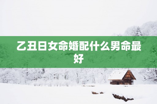 乙丑日女命婚配什么男命最好