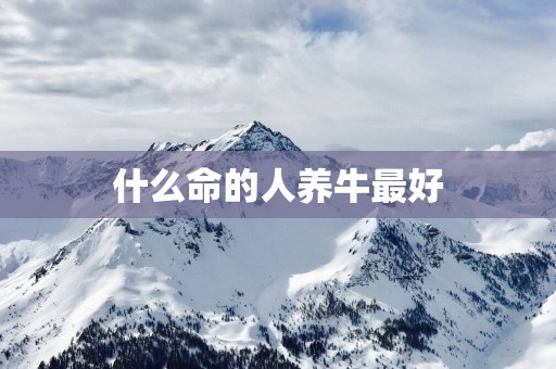 什么命的人养牛最好