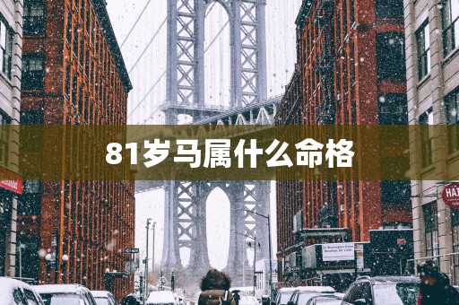 81岁马属什么命格