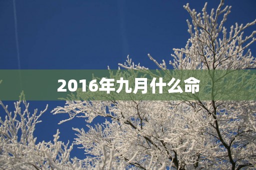2016年九月什么命
