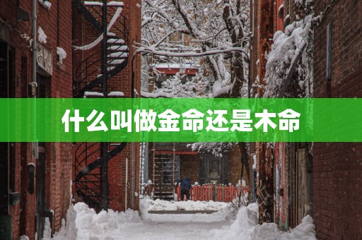 什么叫做金命还是木命