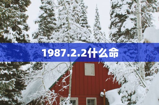 1987.2.2什么命