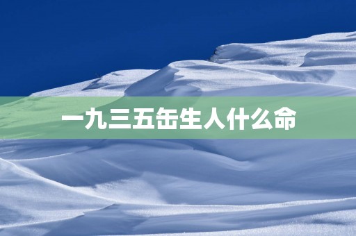 一九三五缶生人什么命