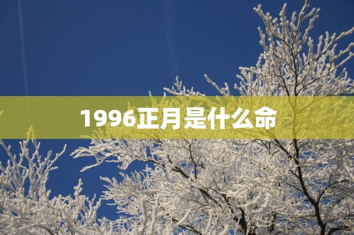 1996正月是什么命