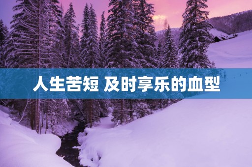 人生苦短 及时享乐的血型