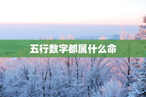 五行数字都属什么命
