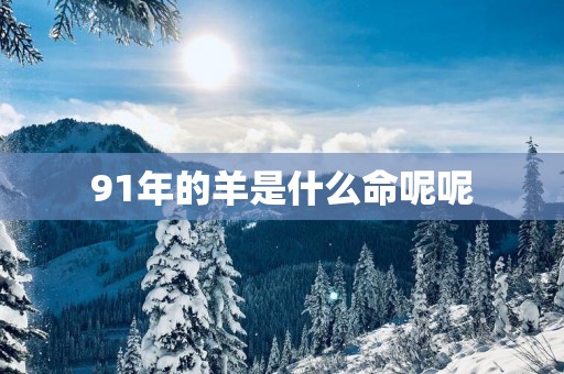 91年的羊是什么命呢呢