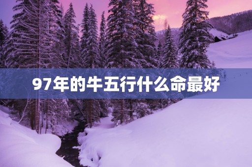 97年的牛五行什么命最好