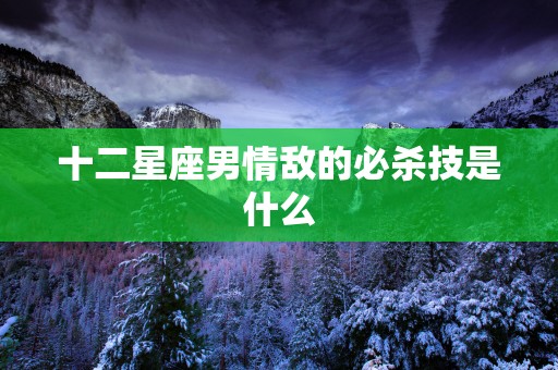 十二星座男情敌的必杀技是什么