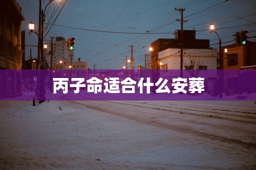 丙子命适合什么安葬
