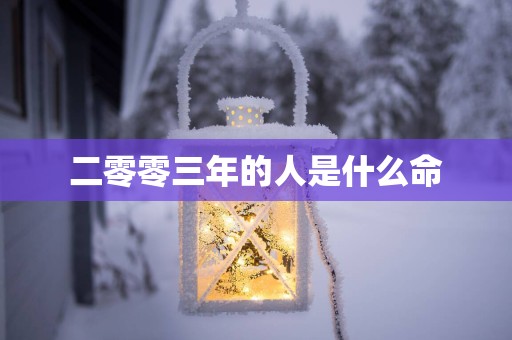 二零零三年的人是什么命