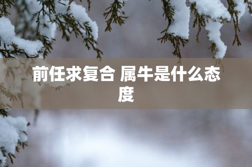 前任求复合 属牛是什么态度