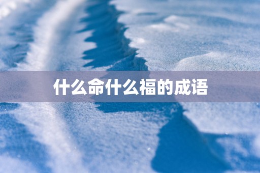 什么命什么福的成语