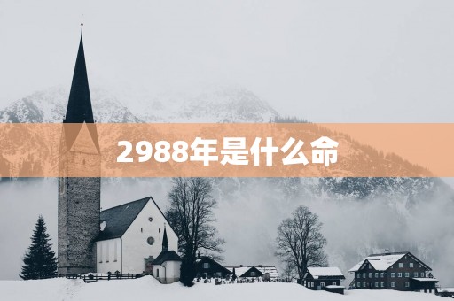 2988年是什么命