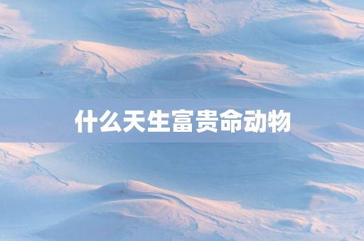 什么天生富贵命动物
