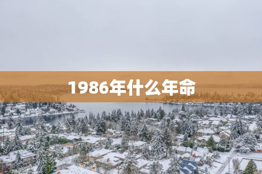 1986年什么年命